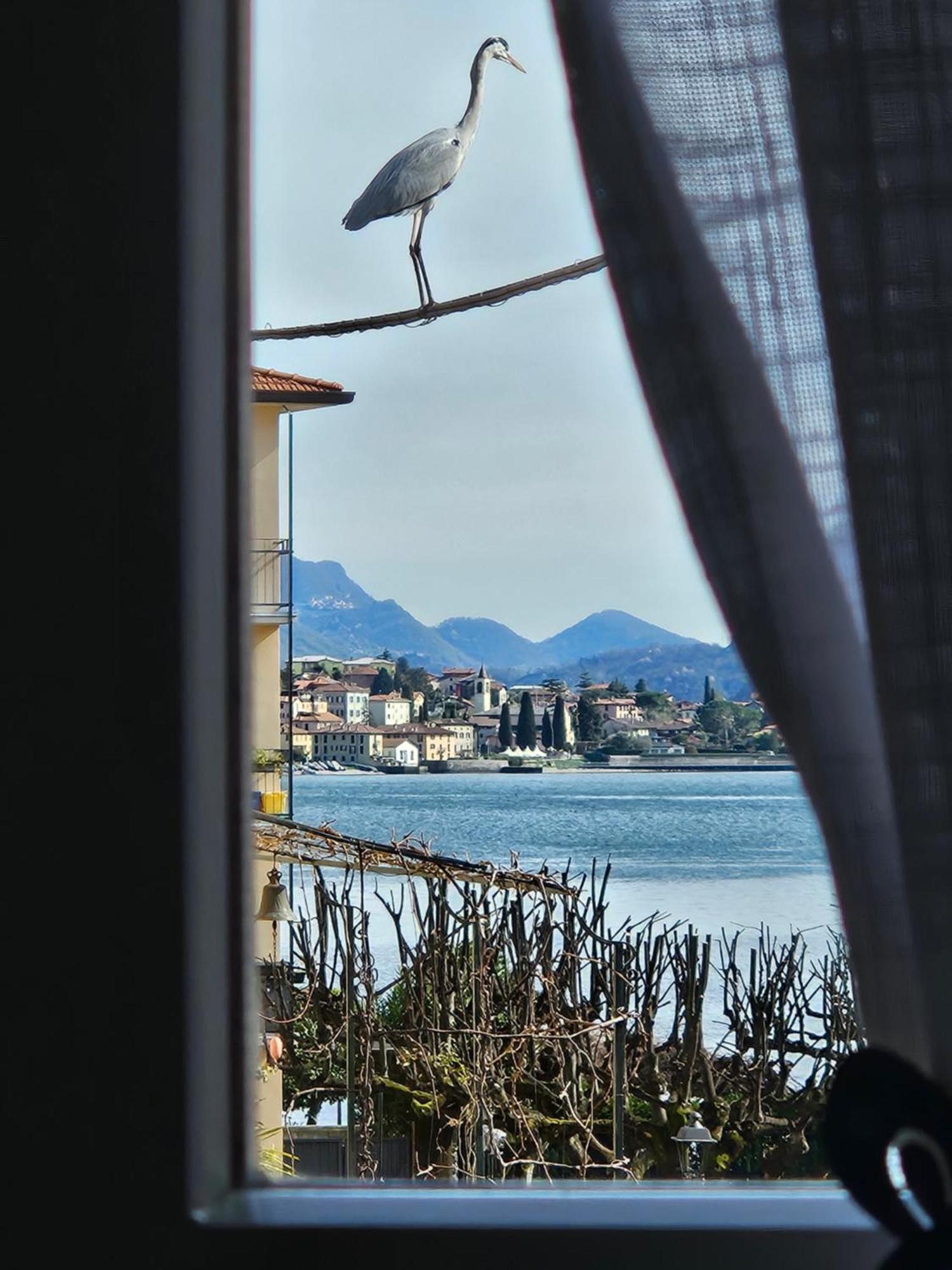 L'AIRONE - casa vacanza Mandello del Lario Exterior foto