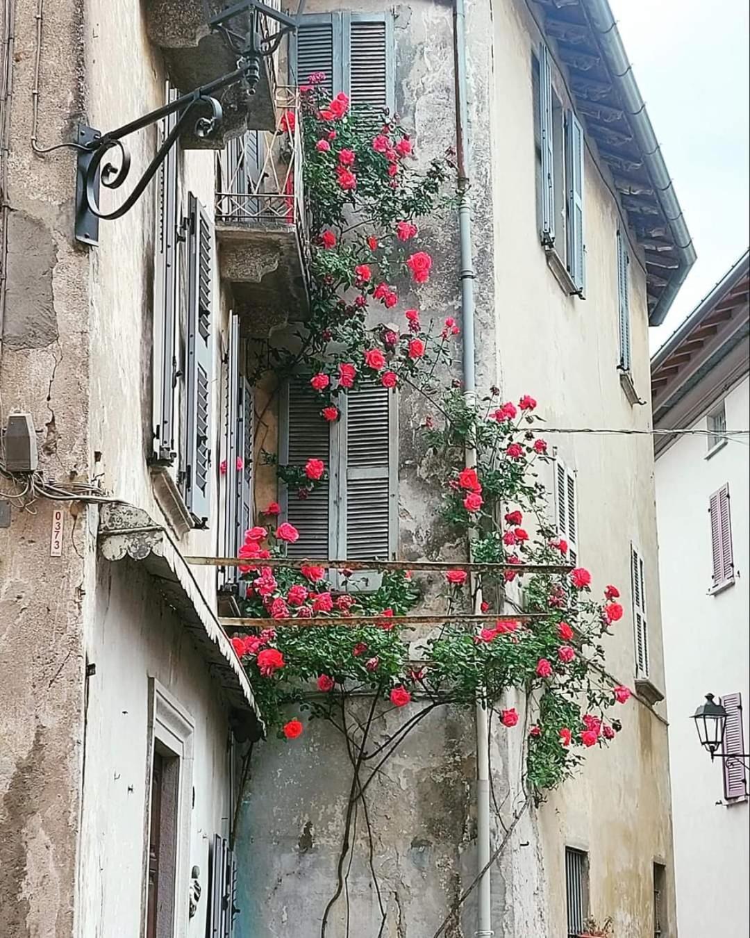 L'AIRONE - casa vacanza Mandello del Lario Exterior foto